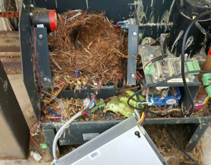 avoid rats nests in your gate opener control panel