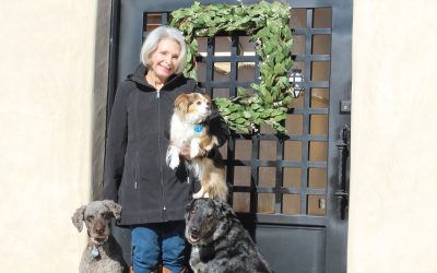 Custom Courtyard Gates (or Doors) – Chamberlin CLIENT PROFILE