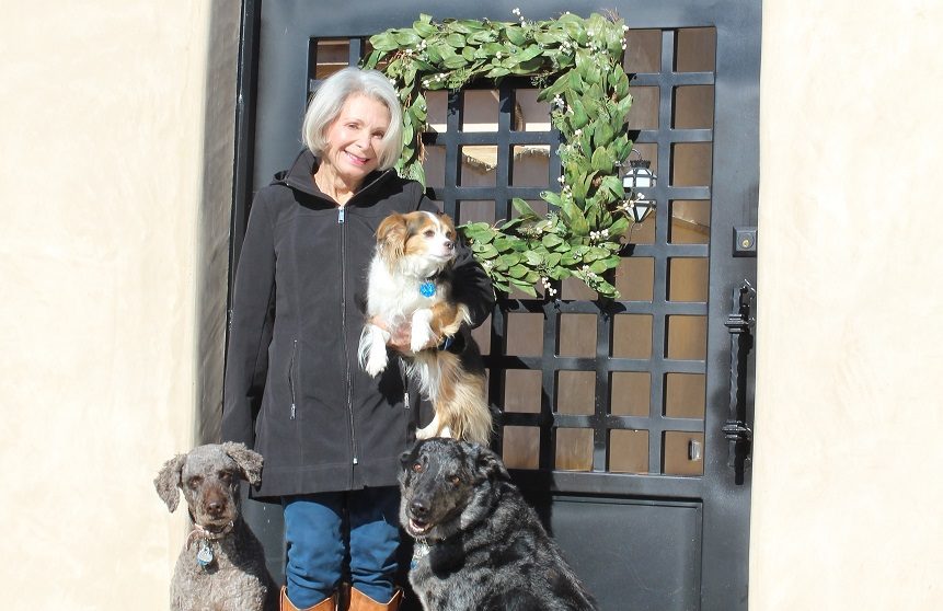 Custom Courtyard Gates (or Doors) – Chamberlin CLIENT PROFILE