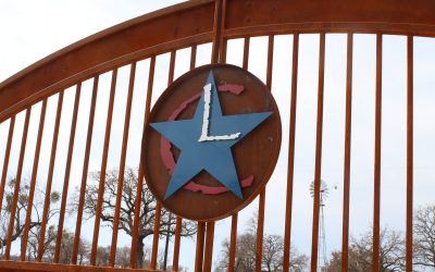 Color Psychology and Your Gate