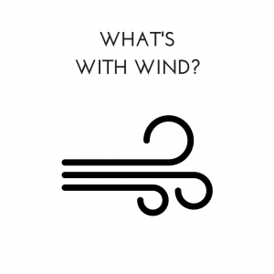 wind icon